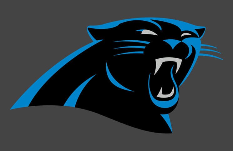 How to Stream Carolina Panthers Games Live With a VPN in 2023 - EarthWeb